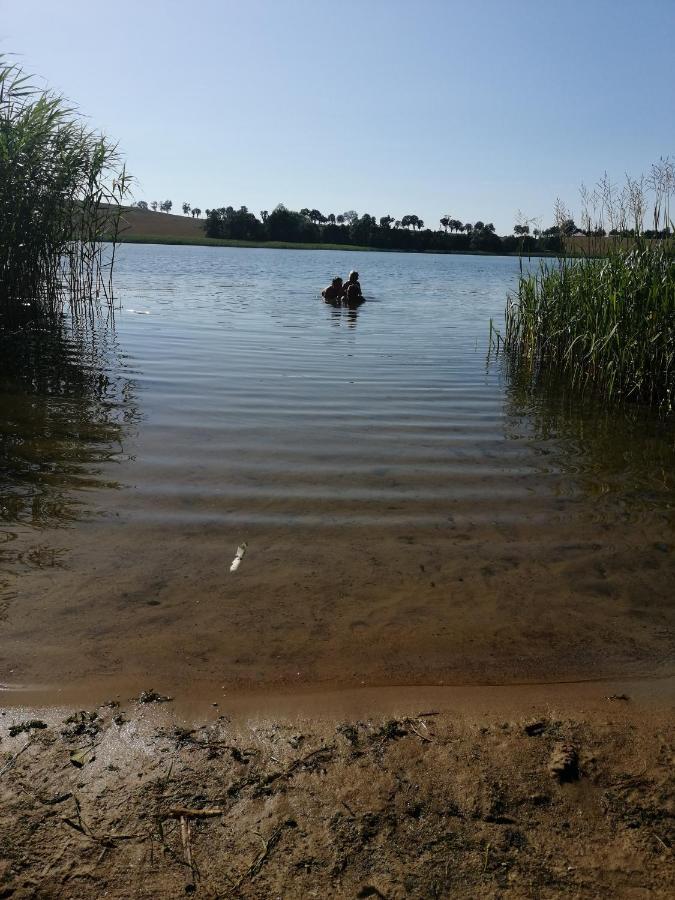 הוילה Ksiaznik Mila Przystan מראה חיצוני תמונה